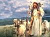 Shepherdim's Avatar
