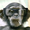 pramonojoko's Avatar